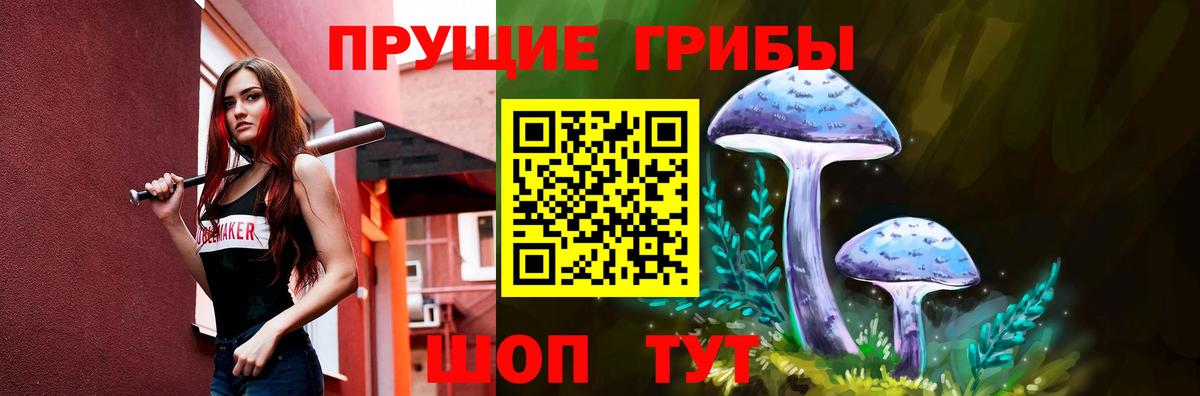 Псилоцибиновые грибы Cubensis  Галлюциногенные грибы GOLDEN TEACHER  Чита  Вход с VPN 